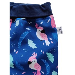 Waterproof softshell pants Parrots