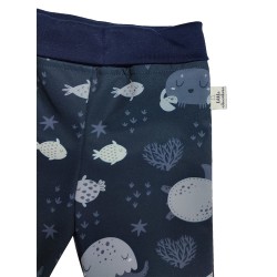 Waterproof softshell pants Jellyfish